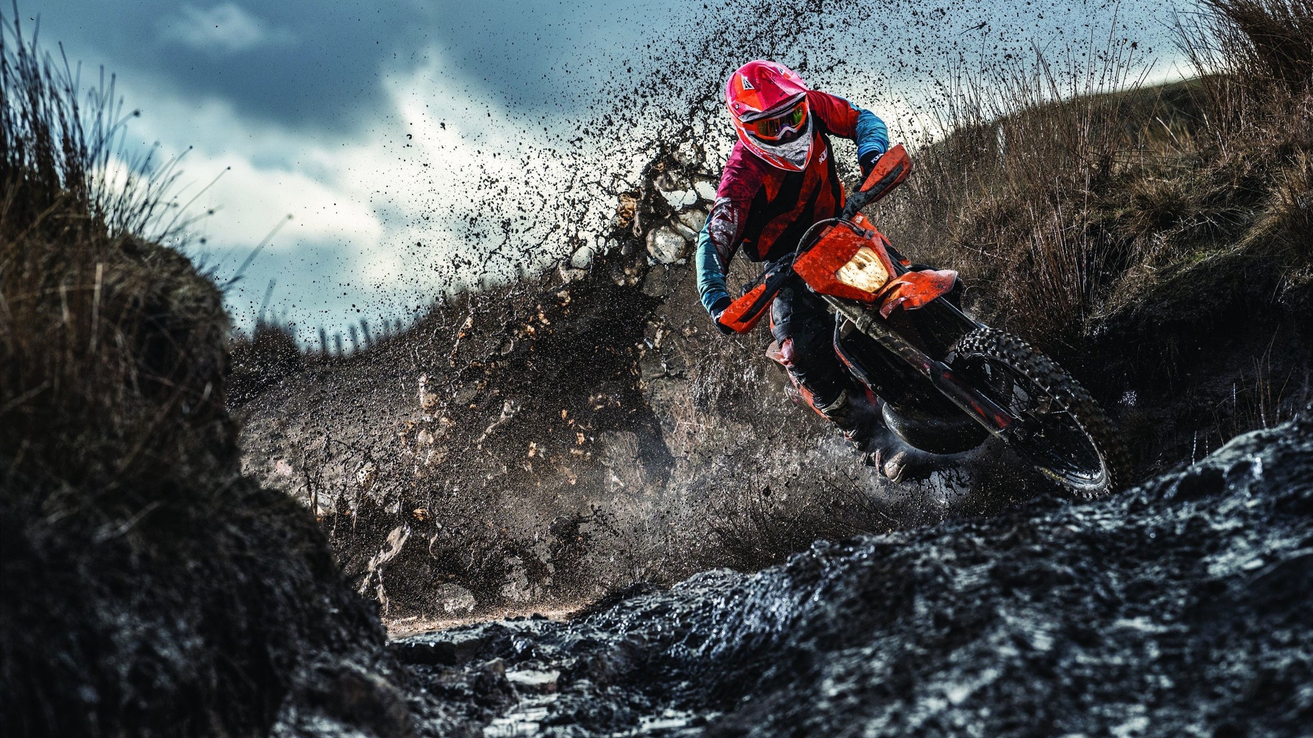 法国马术队在巴黎奥运会盛装舞步比赛中取得历史性突破,获得第七名。